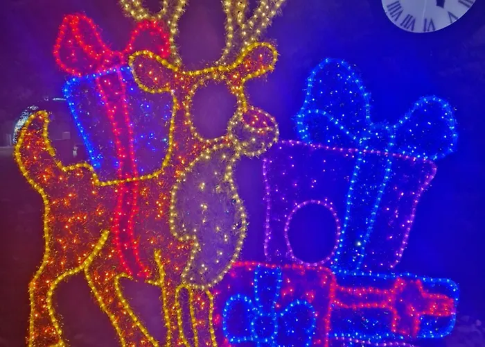 Nowodworski 公寓 *